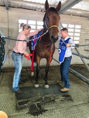 Sally lending a helping hand at the races © Sally Kirkwood