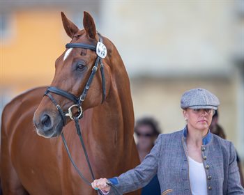 Sammi Birch and Finduss PFB. Image: Boots & Hooves Photography.