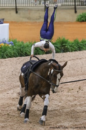Sarah Grayson on Charles the Great - © Michelle Terlato