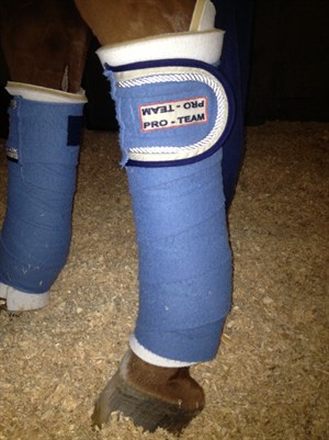 Practice bandaging!