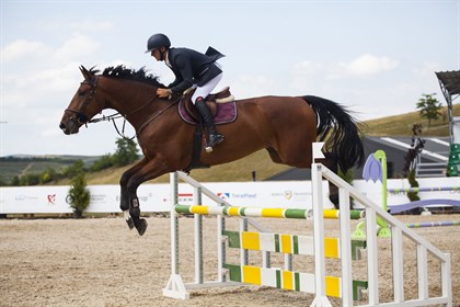 Senior show jumping © FEI
