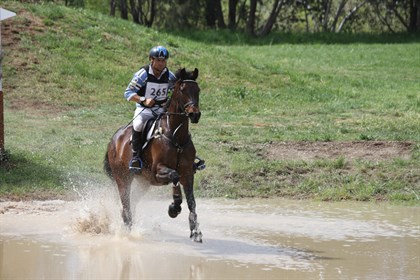 Shane Rose and Easy Turn in the 4* - © Fiona Gruen