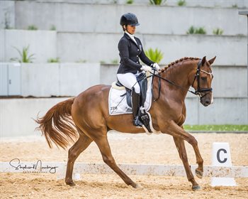 Shannan Connell and Ashwood's Palladyn score 74.60% to win the 4-year-old class © Stephen Mowbray Photography