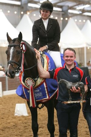 Sharon Slater’s Cashassini 11, who was crowned Young Jumping Horse Champion of Champions at DJWTS - © Roger Fitzhardinge