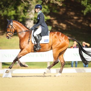 Shenae Lowings Bold Venture dressage Pratoni © Michelle Terlato Photography