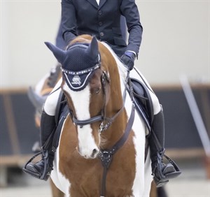 Shino Hirota and her skewbald horse Life is Beautiful have qualified for the Longines 2019 Final which will take place in Gothenburg © FEI/Yusuke Nak