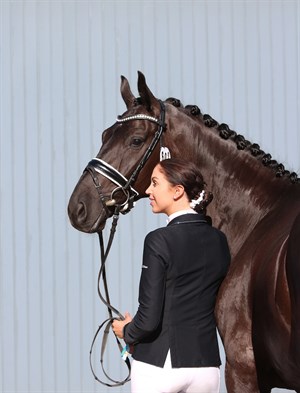 Simone Pearce and Feodoro at the 2017 FEI World Breeding Dressage Championships for Young Horses. © Michelle Hicks