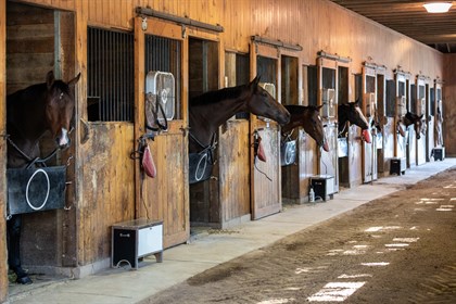 Stonewall Farm, stables and horses © Christie’s International Real Estate