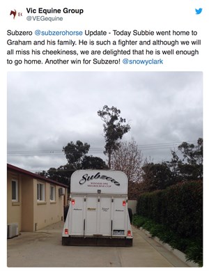 Subzero allowed to return home