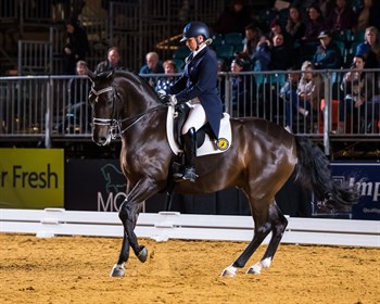 Sue Hearn Equitana 2018