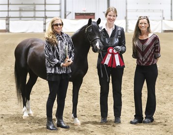 Supreme Ch. under Cappellanti: Alvesta Naiya, 2011 Section B mare. Photo: Sarah's Equine Design.