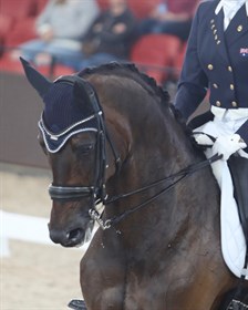 Syriana, ridden by Mary Hanna. © Roger Fitzhardinge
