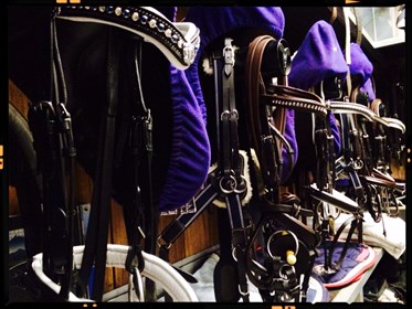 Tack room