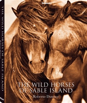 The Wild horses on Sable Island © 2014 Roberto Dutesco. All rights reserved