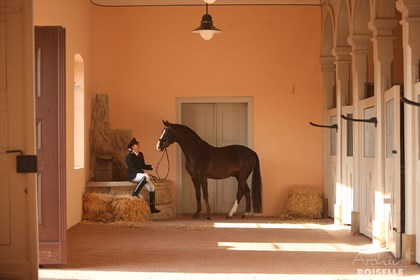 The beautiful historic stallion barn. © Archiv Boiselle