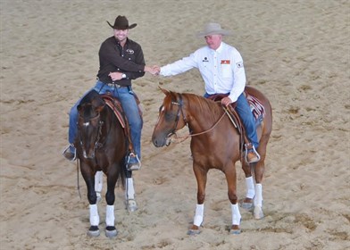 The combination will work with several horses to demonstrate their skills and techniques © Image supplied