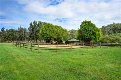 The equestrian centre has no shortage of lush grass.