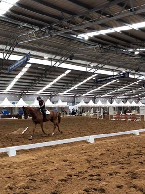 The indoor looked a picture at DJWTS; the Champion of Champions exhibition class was held in the indoor on Saturday afternoon. © Suzie Willis