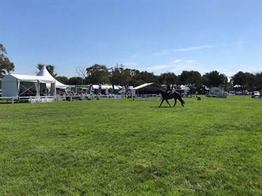 The outdoor arenas were lovely and green at DJWTS and accomodated the majority of the jumping classes. © Suzie Willis