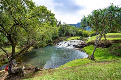 The property has waterfalls and swimming holes.