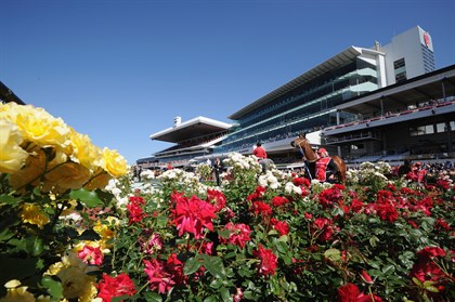 The roses are now a key feature of Flemington’s Spring Racing Carnival. © Getty Images