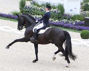 Therese Nilshagen and Dante Weltino