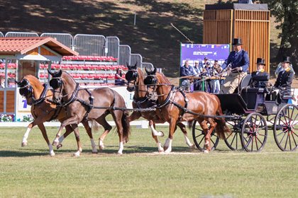 Tor Van Den Berge and his team are in 18th place after the dressage phase. © Krisztina Horvath - Hoefnet
