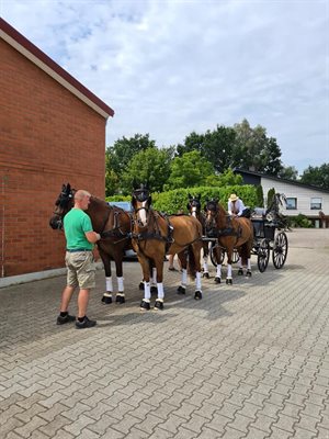 Tor Van Den Berge's team. Image: Team Van Den Berge Facebook page