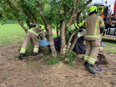 UK Firefighters working to free Eddie after he became stuck in his field. © Suffolk Fire and Rescue Service
