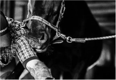 Vets and farriers may not always agree, but the goal is to collaborate respectfully © Kimberly Dean