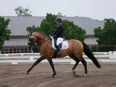 Victoria Davies Celere Grade II winner © Equestrian Australia