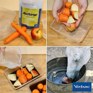 Virbac Recharge