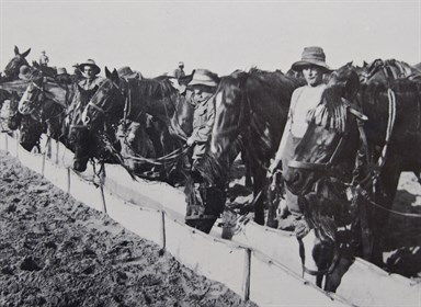 Watering horses in the desert © Roland Perry