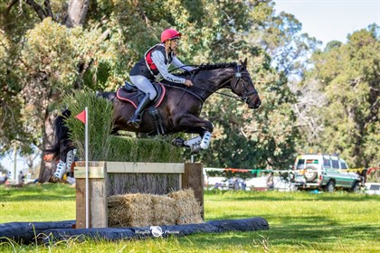 Will Baxter riding Kdale Mr Collins © Waylib Sports Photography