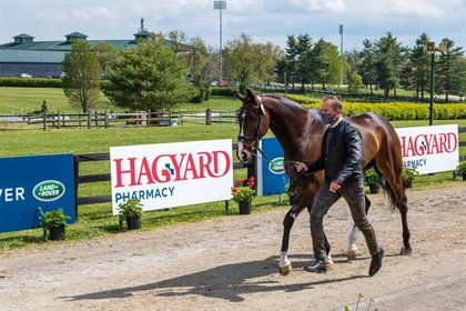 Will Faudree and Mama's Magic Way at the First Horse Inspection of the 2021 Land Rover Kentucky Three Day Event. © Red Bay Stock