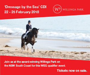 Willinga Park Medium Advert