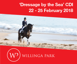 Willinga Park Medium New