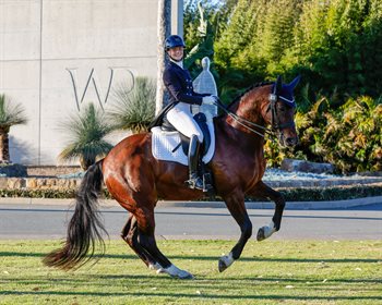 Peter Comiskey, riding Brittany, all the way from Nebo in north Queensland © Stephen Mowbray/Willinga Park
