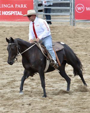 Willingapark Impressive Sassy sold for $75,000