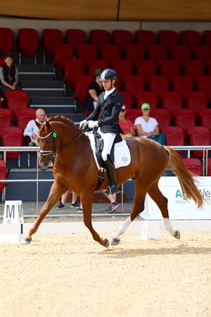 Winner of the five year old, Willinga Park Fangio with Jayden Brown - © Roger Fitzhardinge