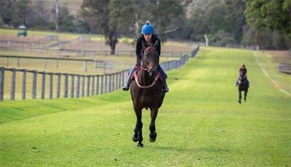 Winx back in pre-training © @cwallerracing