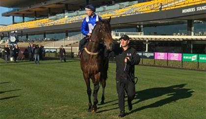 Winx will be at Rosehill on Tuesday, 5th of February © ATC