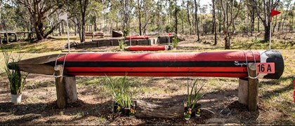 XC Sydney International ©stephen mowbray