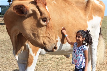 big Moo and little girl