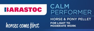 calm-performer-300x100