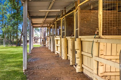 elimbahstables