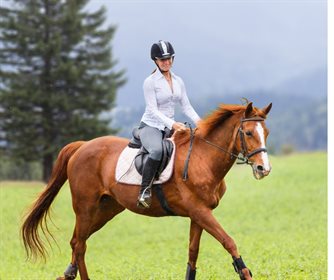 exercise for the older horse © EA - not for reuse