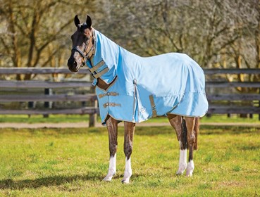 horseland