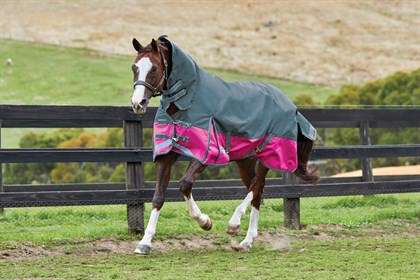 horseland
