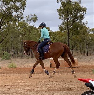 The water trough of terror. Legend has it that many horses have lost their lives to the monster that resides in the trough. Who knew? © Sally Kirkwood
